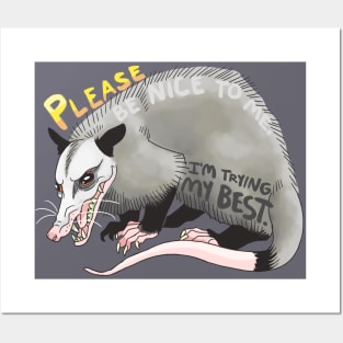 Be Nice Possum Posters and Art